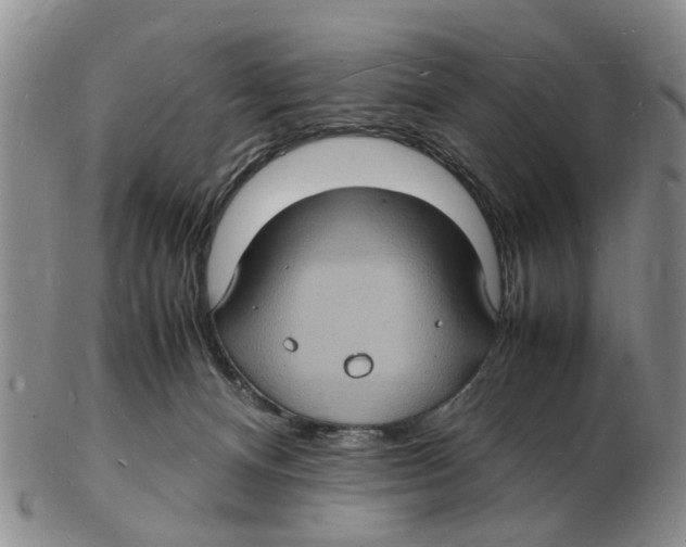 X0000102780128200809151111