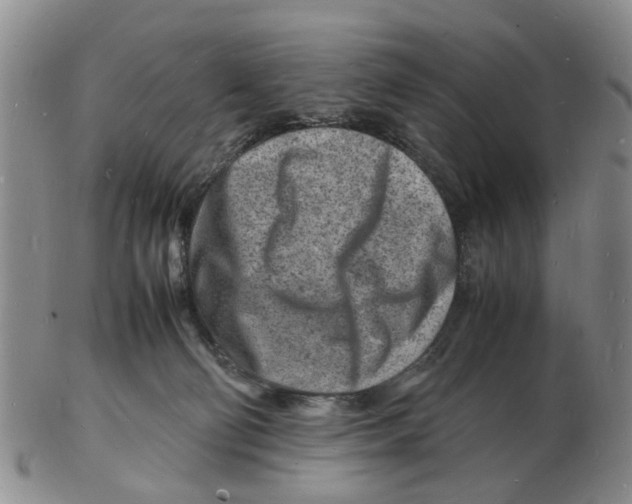 X0000102780130200809151111