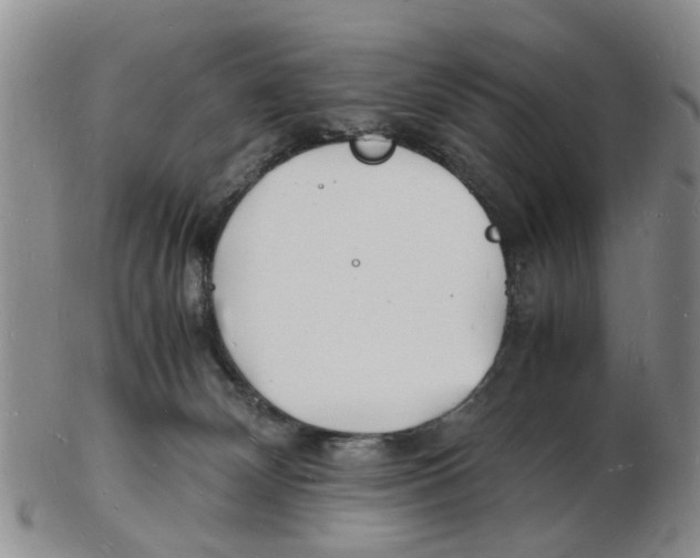 X0000102780132200809151111