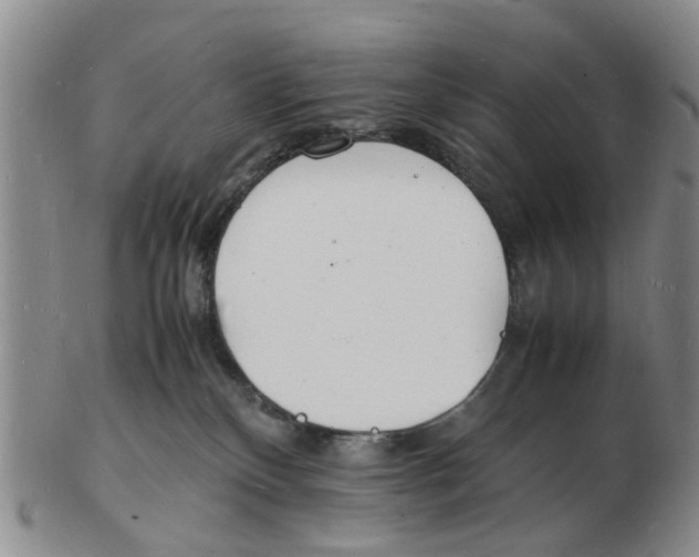 X0000102780136200809151111