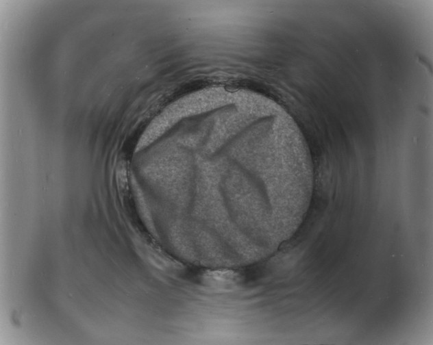 X0000102780137200809151111