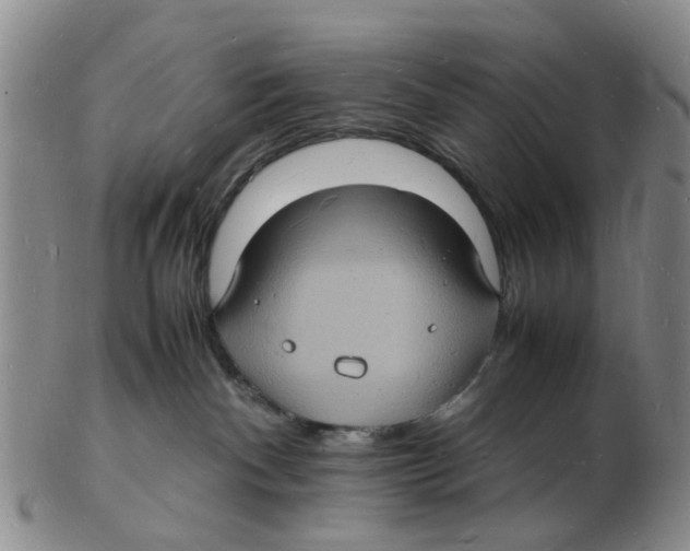 X0000102780140200809151111