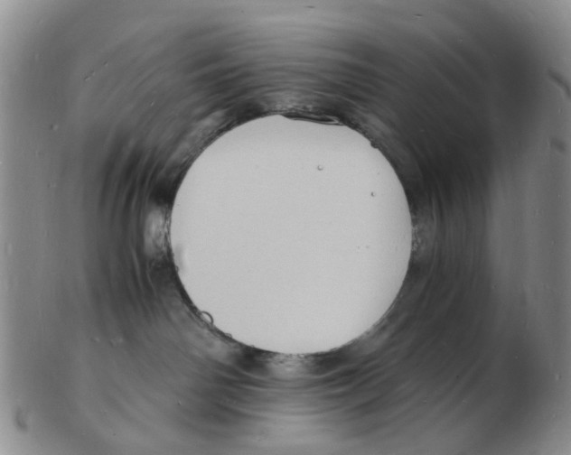 X0000102780142200809151111