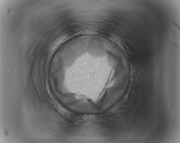 X0000102780145200809151110