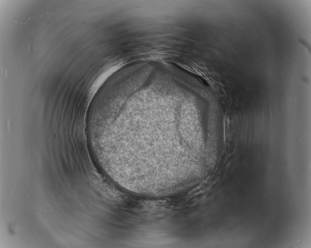 X0000102780147200809151110