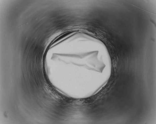 X0000102780148200809151110