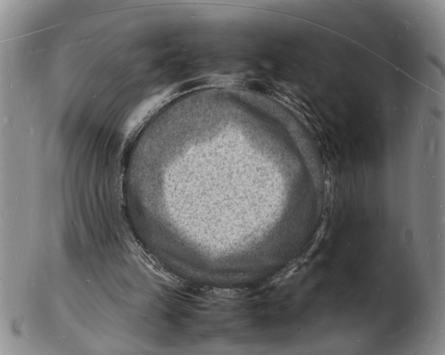 X0000102780149200809151110