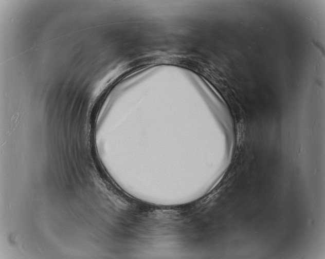 X0000102780150200809151110