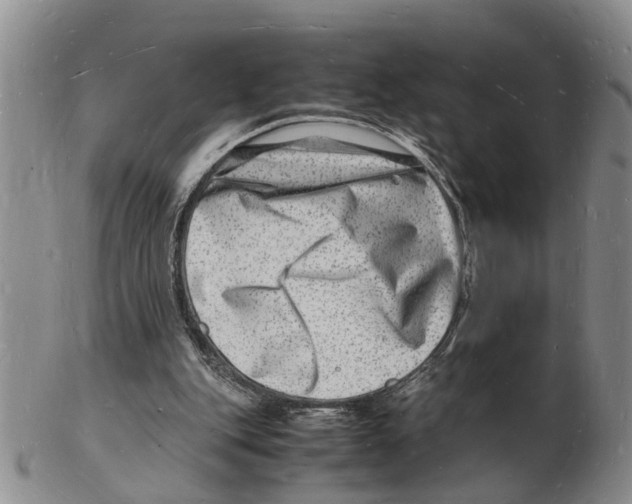 X0000102780151200809151110