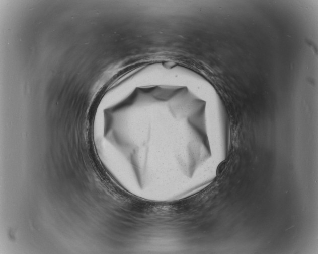 X0000102780152200809151110