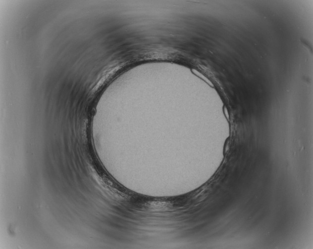 X0000102780154200809151110