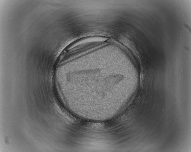 X0000102780156200809151110