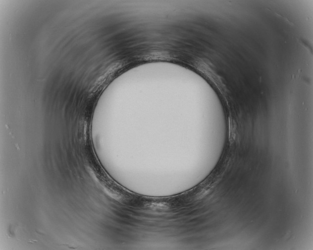 X0000102780157200809151110