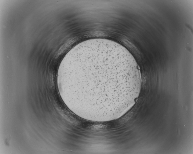 X0000102780158200809151110