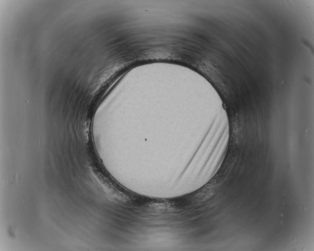 X0000102780160200809151111