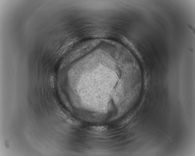 X0000102780161200809151111