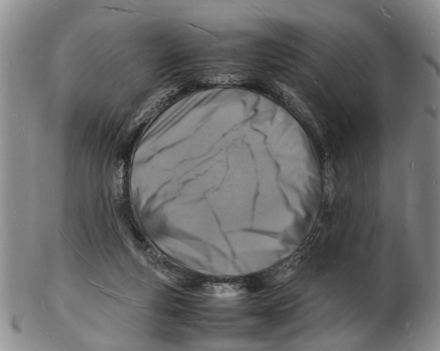 X0000102780163200809151111