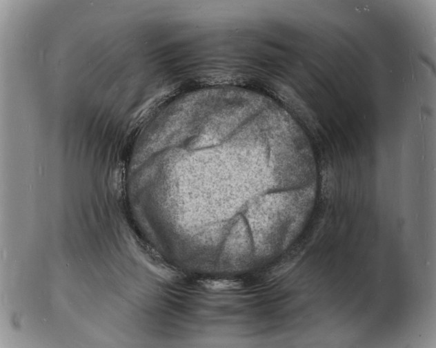 X0000102780165200809151111