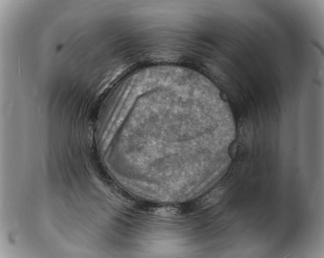 X0000102780168200809151111