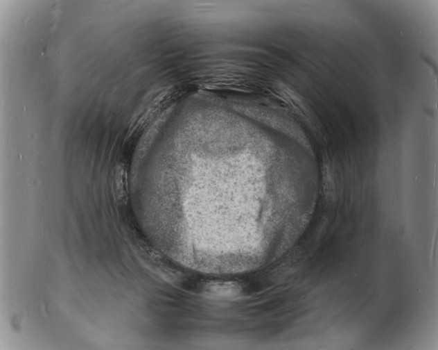 X0000102780169200809151111