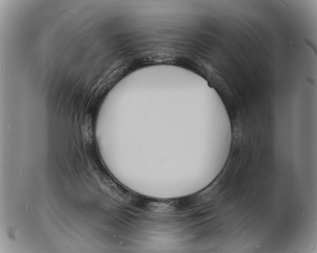 X0000102780170200809151111