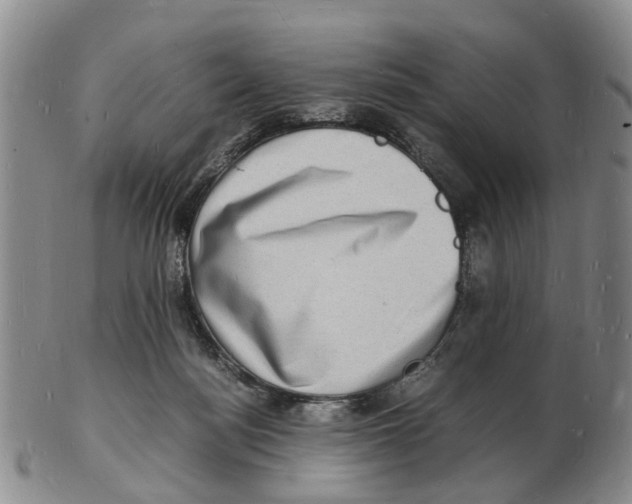 X0000102780172200809151111