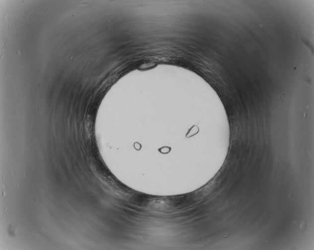 X0000102780174200809151111