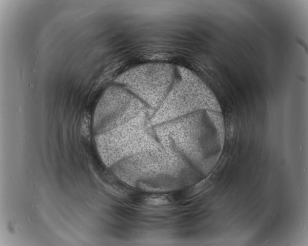 X0000102780175200809151111