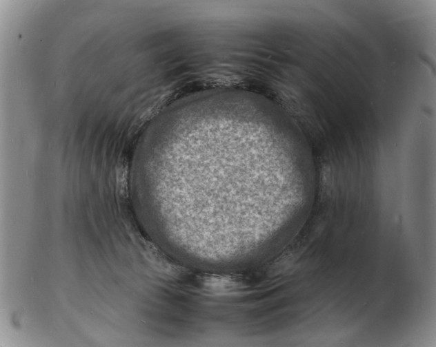 X0000102780177200809151111