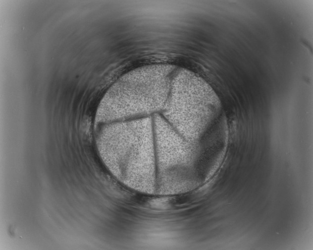 X0000102780178200809151111