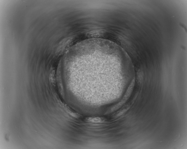 X0000102780181200809151111