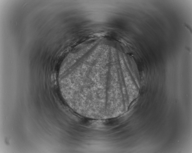 X0000102780182200809151111