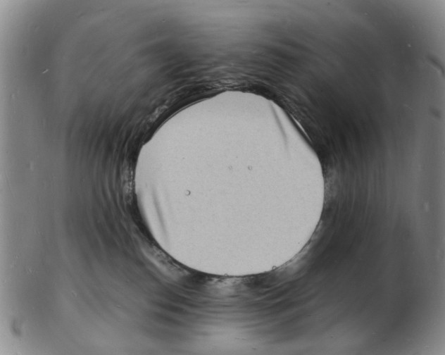 X0000102780186200809151111