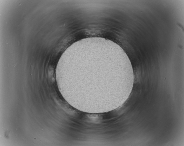 X0000102780187200809151111