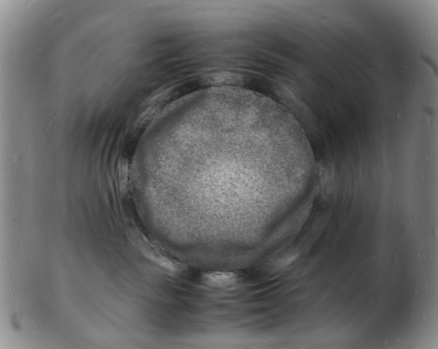 X0000102780189200809151111