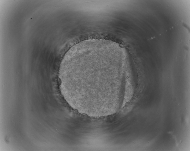 X0000102780192200809151111