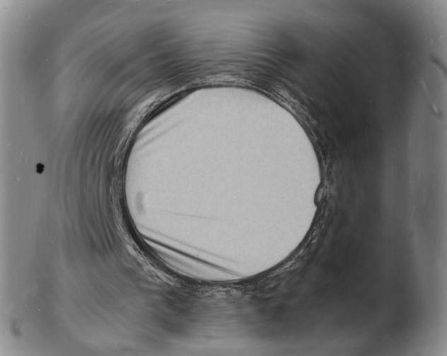 X0000102780193200809151110