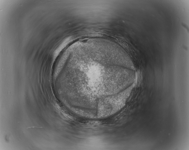 X0000102780195200809151110