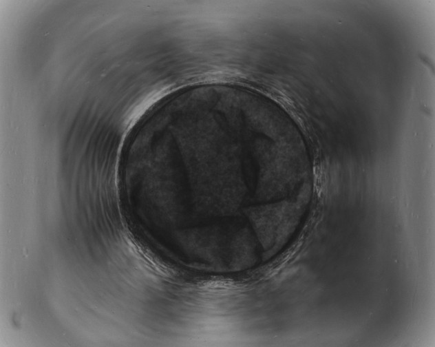 X0000102780196200809151110