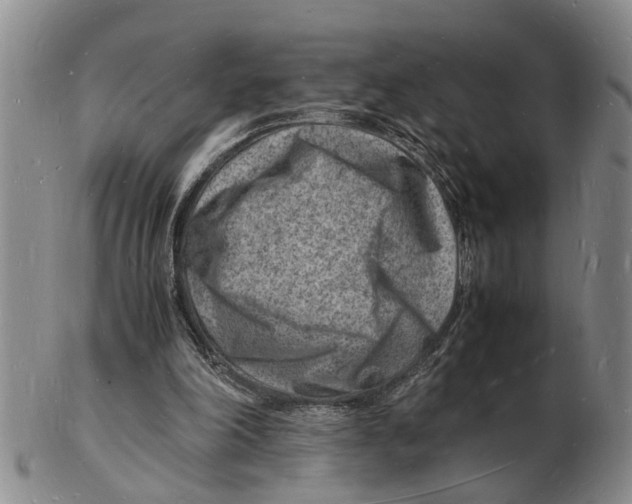 X0000102780198200809151110