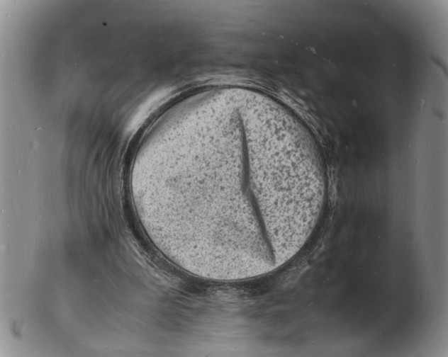 X0000102780199200809151110