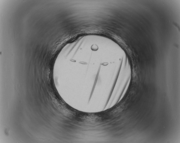 X0000102780201200809151110