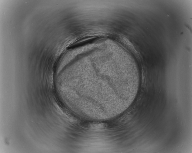 X0000102780202200809151110