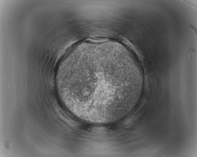 X0000102780203200809151110