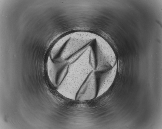 X0000102780204200809151110