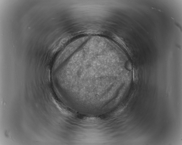 X0000102780205200809151110