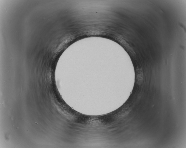 X0000102780207200809151110