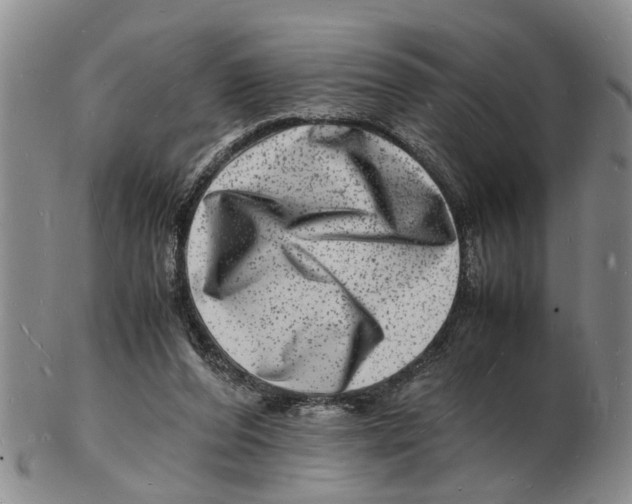 X0000102780208200809151110