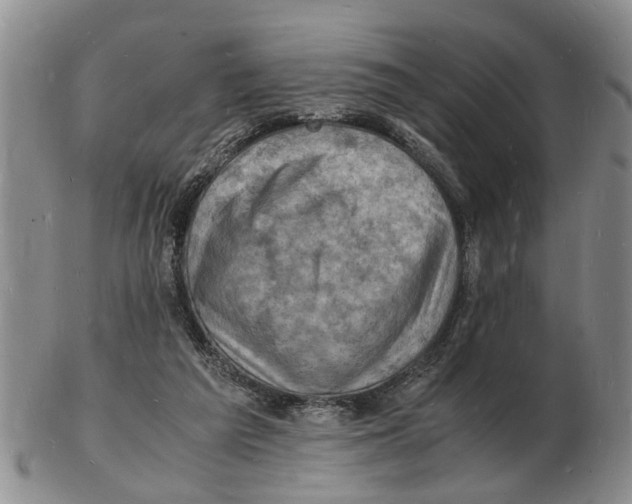 X0000102780209200809151110