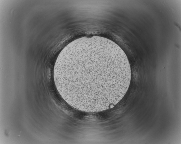 X0000102780211200809151110